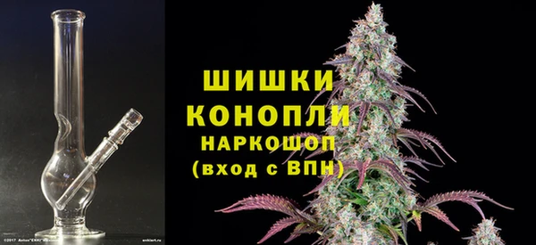 сатива Баксан