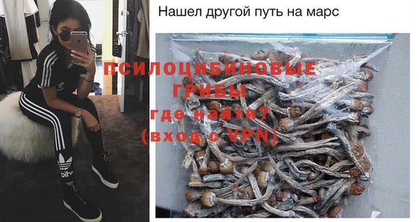 сатива Баксан