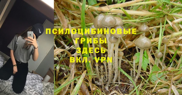 таблы Аркадак