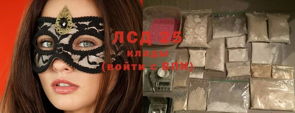 сатива Баксан
